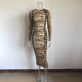 Long Tiger Stripe Dress