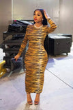 Long Tiger Stripe Dress