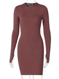 Long Sleeve Multi Color Mini Dress